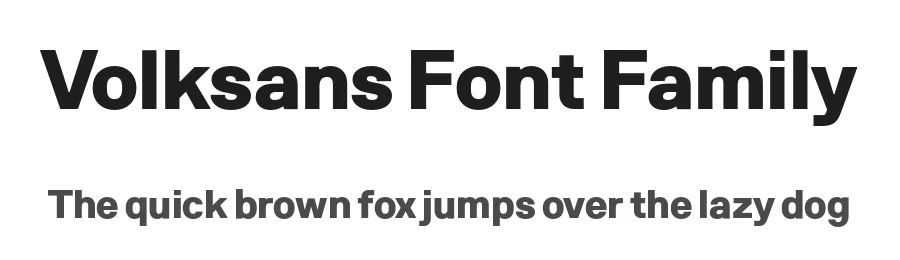 Volksansο»Ώ Font Family by Radmir Volk β Sans Serif Font