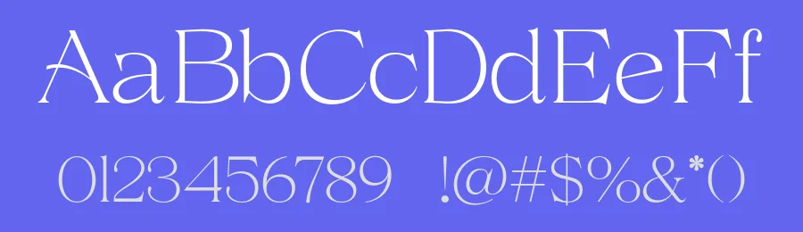 Volkys Serif Font Family by Propertype — Serif Font — thumbnail 3