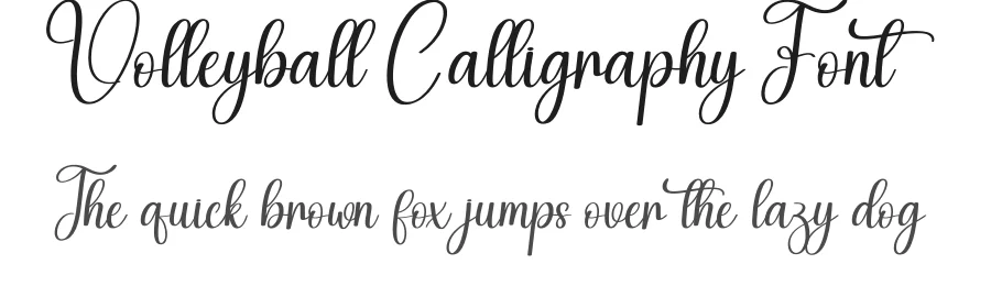 Volleyball Calligraphy Font by creativeletter — Script Handwritten Font