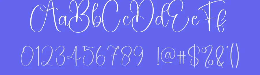 Volyball Script Font by creativeletter — Script Handwritten Font — thumbnail 3