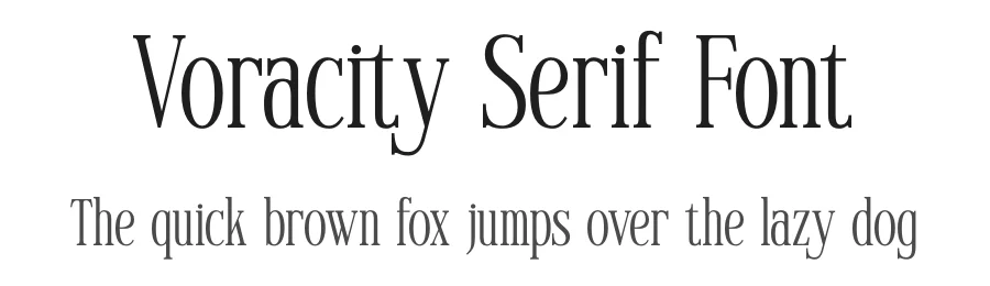Voracity Serif Font by BRAINWAVES STUDIO — Display Font