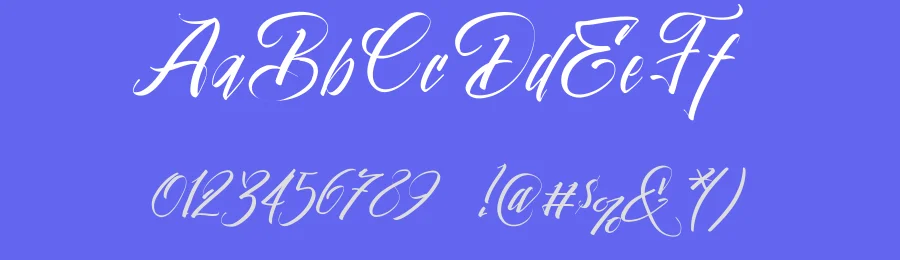 Vtks Beleza Pura Script Font by VTKS DESIGN — Script Handwritten Font — thumbnail 3