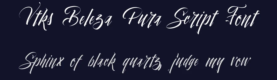 Vtks Beleza Pura Script Font by VTKS DESIGN — Script Handwritten Font — thumbnail 2
