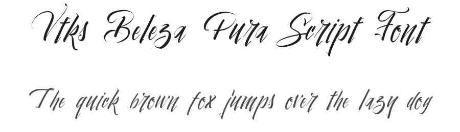 Vtks Beleza Pura Script Font by VTKS DESIGN — Script Handwritten Font
