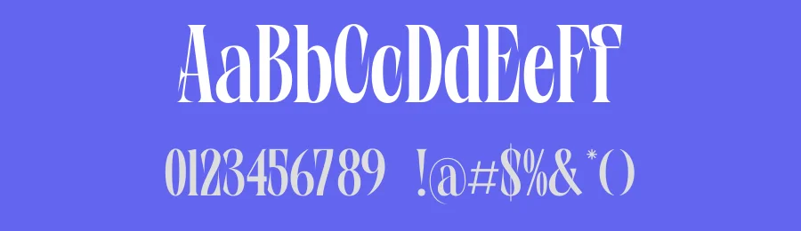 Wafterlic Serif Font by timelesstype.co — Serif Font — thumbnail 3
