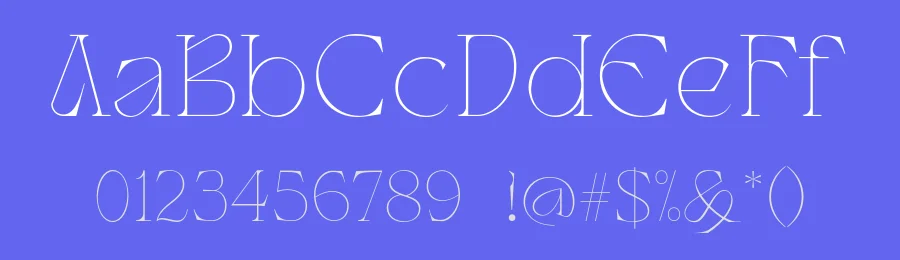 Wagon Font Family by Dirtyline Studio — Display Font — thumbnail 3