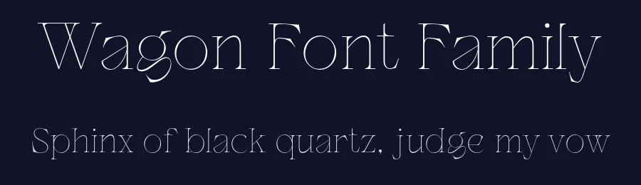 Wagon Font Family by Dirtyline Studio — Display Font — thumbnail 2