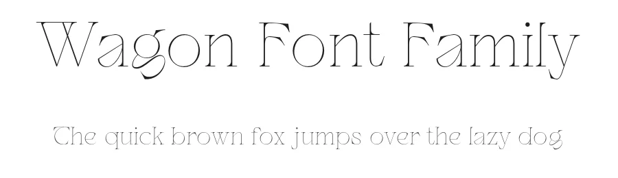 Wagon Font Family by Dirtyline Studio — Display Font