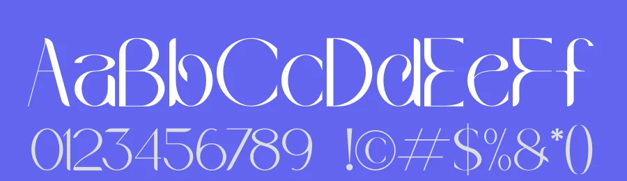Wakile Stylish Serif Font by Storytype — Serif Font — thumbnail 3
