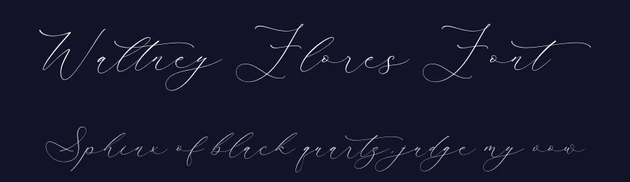 Waltney Flores Font by Storytype — Script Handwritten Font — thumbnail 2