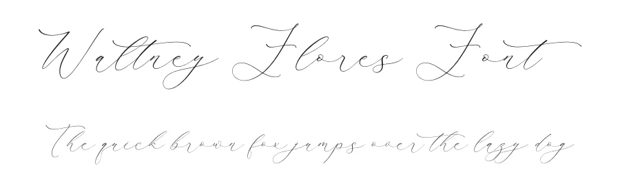Waltney Flores Font by Storytype — Script Handwritten Font