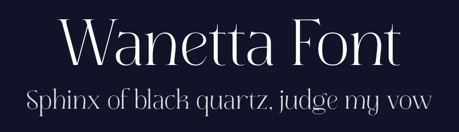 Wanetta Font by Objectype Studio — Serif Font — thumbnail 2