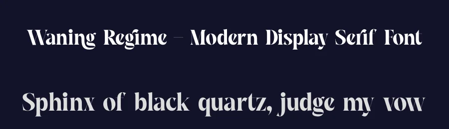Waning Regime – Modern Display Serif Font by timelesstype.co — Display Font — thumbnail 2