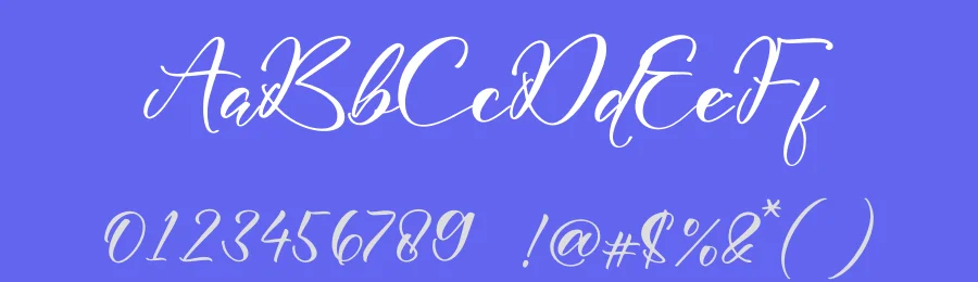 Watersky Sighale Script Font by letterfabric — Script Handwritten Font — thumbnail 3