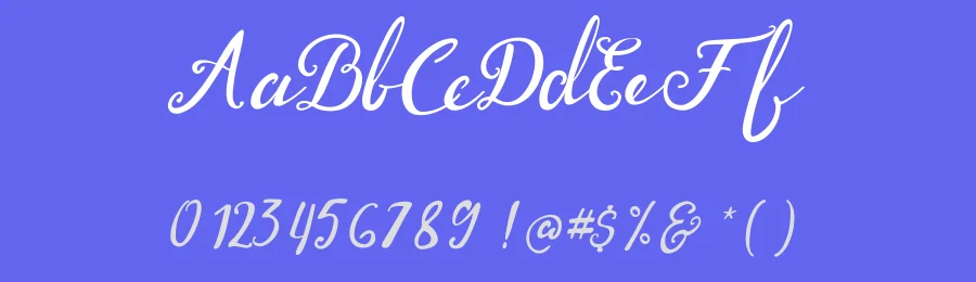 Wcheverly Script Font by Typeface — Script Handwritten Font — thumbnail 3