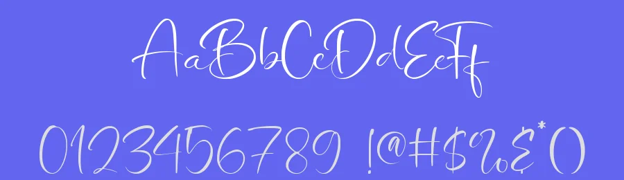 Wedding Bliss Font by letterara — Script Handwritten Font — thumbnail 3