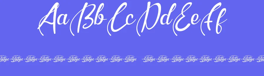 Wedding Bustle Font by VinType — Script Handwritten Font — thumbnail 3