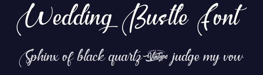Wedding Bustle Font by VinType — Script Handwritten Font — thumbnail 2