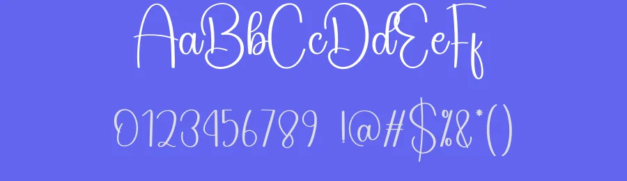 Wedding Calligraphy Font by creativeletter — Script Handwritten Font — thumbnail 3