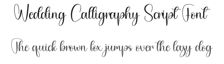 Wedding Calligraphy Script Font by creativeletter — Script Handwritten Font