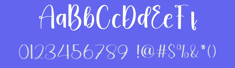 Wedding Calligraphy Script Font by freshtypeink — Script Handwritten Font — thumbnail 3