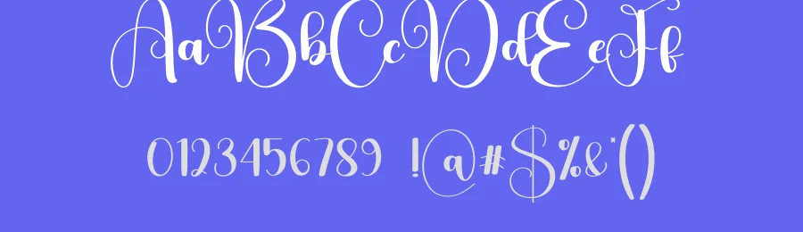 Wedding Calligraphy Typeface by Berkah Shop — Script Handwritten Font — thumbnail 3