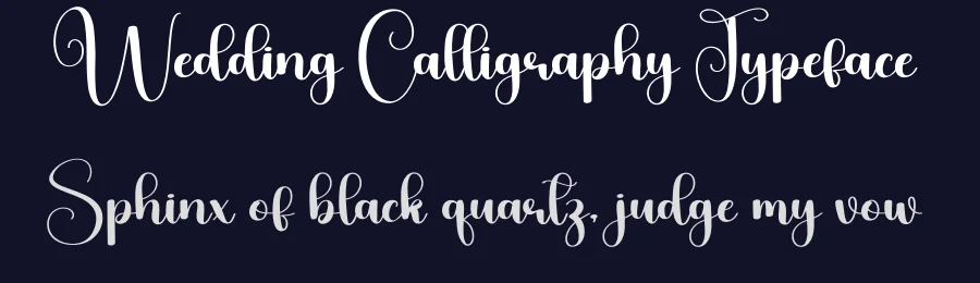 Wedding Calligraphy Typeface by Berkah Shop — Script Handwritten Font — thumbnail 2