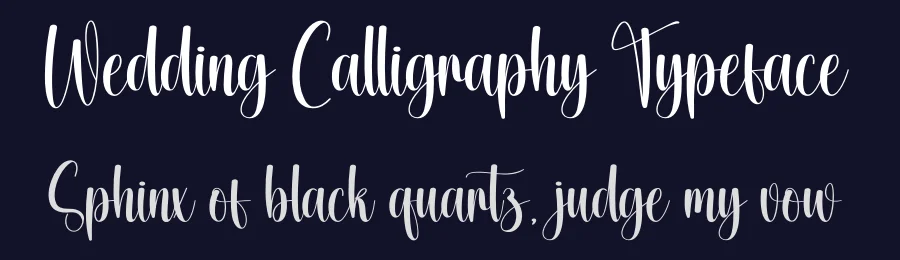 Wedding Calligraphy Typeface by creativeletter — Script Handwritten Font — thumbnail 2
