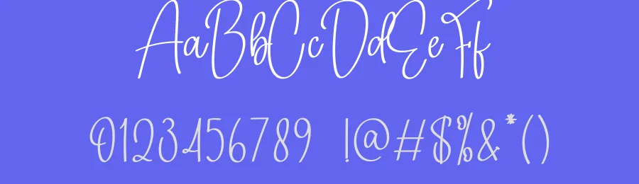 Wedding Ceremony Script Font by creativeletter — Script Handwritten Font — thumbnail 3