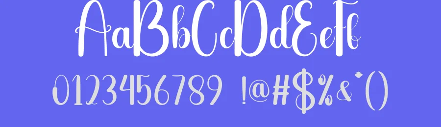Wedding Ceremony Script Font by andikastudio — Script Handwritten Font — thumbnail 3