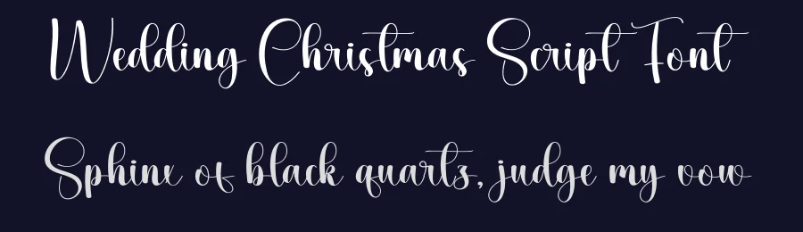 Wedding Christmas Script Font by creativeletter — Script Handwritten Font — thumbnail 2