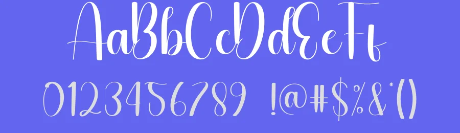 Wedding Day Script Typeface by andikastudio — Script Handwritten Font — thumbnail 3