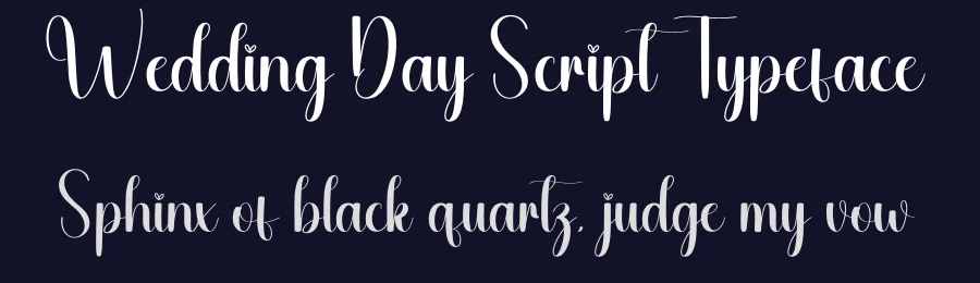 Wedding Day Script Typeface by andikastudio — Script Handwritten Font — thumbnail 2