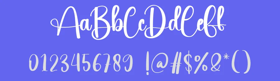Wedding Dress Script Font by creativeletter — Script Handwritten Font — thumbnail 3