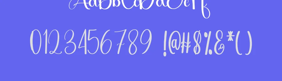 Wedding Photographer Font by inermediaSTUDIO — Script Handwritten Font — thumbnail 3