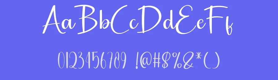 Wedding Signature – Modern Typeface by freshtypeink — Script Handwritten Font — thumbnail 3