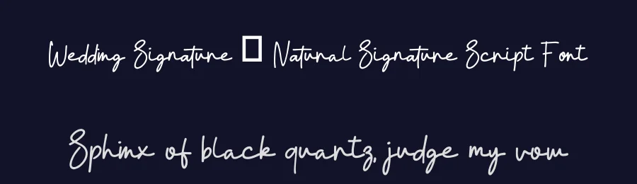 Wedding Signature – Natural Signature Script Font by Funtype — Serif Font — thumbnail 2