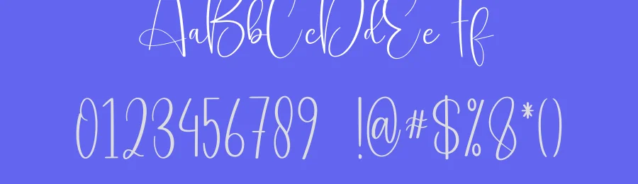 Weddingday Calligraphy Font by creativeletter — Script Handwritten Font — thumbnail 3