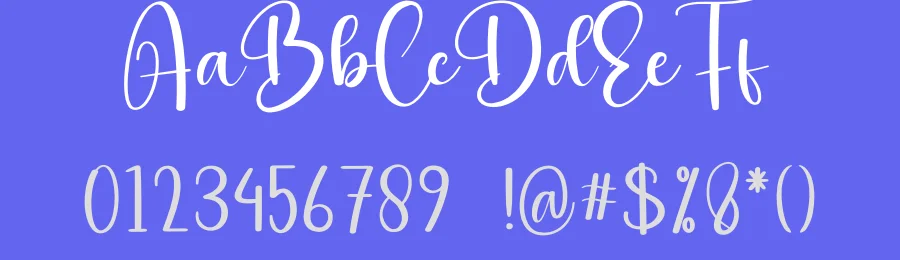 Wednesday Calligraphy Script Font by creativeletter — Script Handwritten Font — thumbnail 3