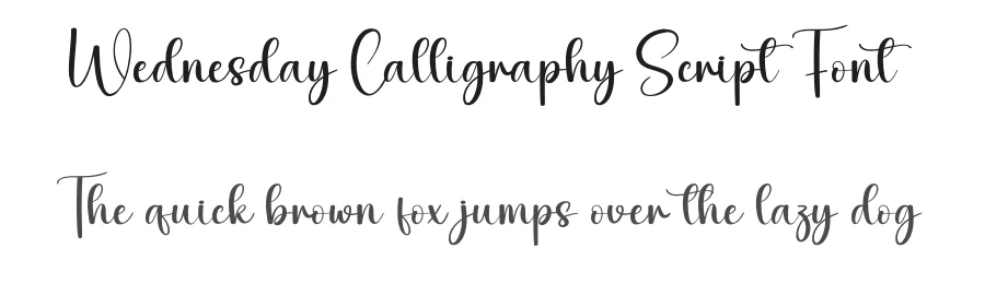 Wednesday Calligraphy Script Font by creativeletter — Script Handwritten Font