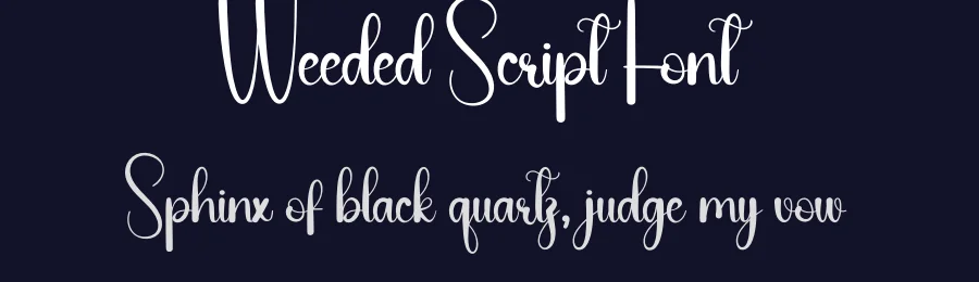 Weeded Script Font by andikastudio — Script Handwritten Font — thumbnail 2