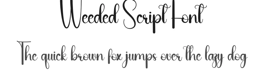 Weeded Script Font by andikastudio — Script Handwritten Font