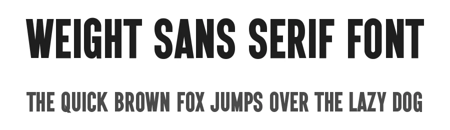 Weight Sans Serif Font by Graphicxell — Sans Serif Font