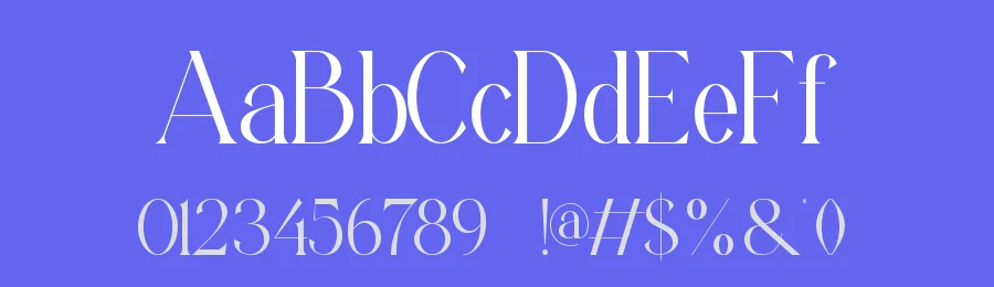 Welorac || Modern Classy Serif Font by ErmediaStudio — Display Font — thumbnail 3
