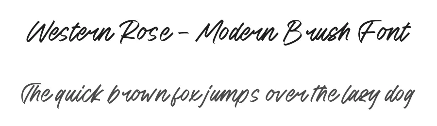 Western Rose – Modern Brush Font by stylishtype.co — Script Handwritten Font