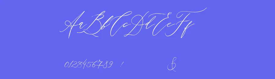 Westring Elegant Font by metafontsy — Script Handwritten Font — thumbnail 3