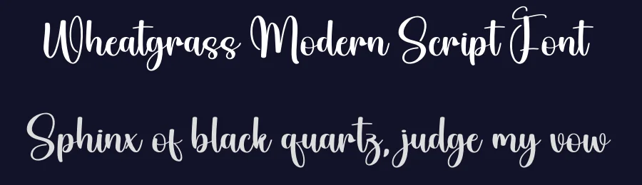 Wheatgrass Modern Script Font by creativeletter — Script Handwritten Font — thumbnail 2