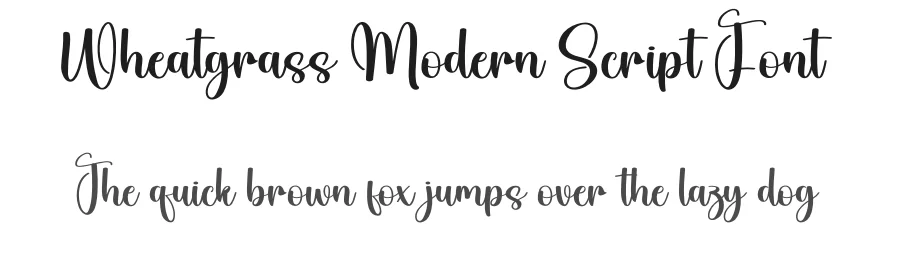 Wheatgrass Modern Script Font by creativeletter — Script Handwritten Font