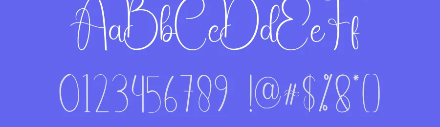 Whiskey Calligraphy Font by andikastudio — Script Handwritten Font — thumbnail 3