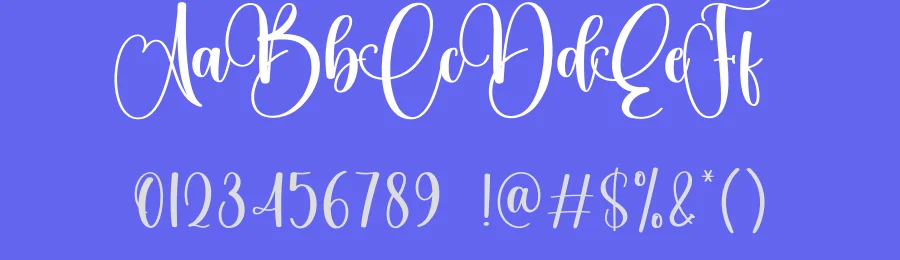 Whiskey Calligraphy Font by creativeletter — Script Handwritten Font — thumbnail 3